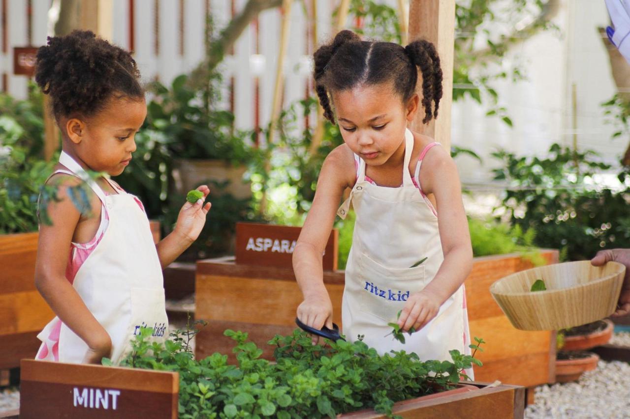 The Ritz-Carlton, Doha Hotel Exterior foto Children working in a garden