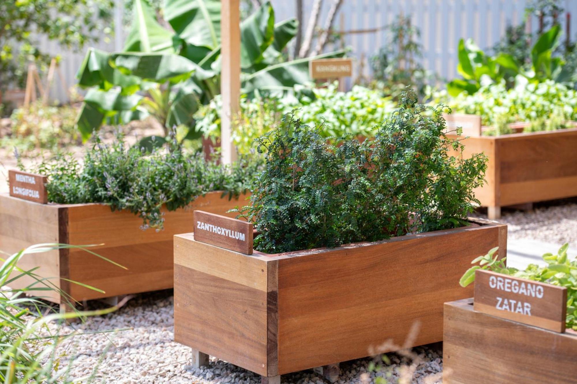 The Ritz-Carlton, Doha Hotel Exterior foto Raised beds in a garden