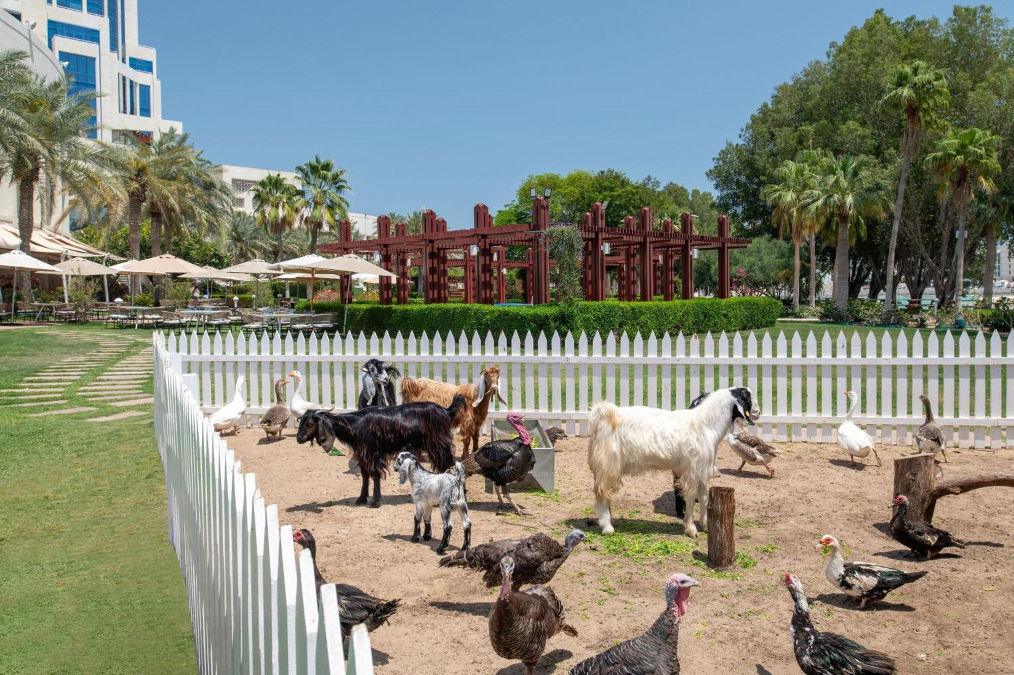 The Ritz-Carlton, Doha Hotel Exterior foto The farm at the resort